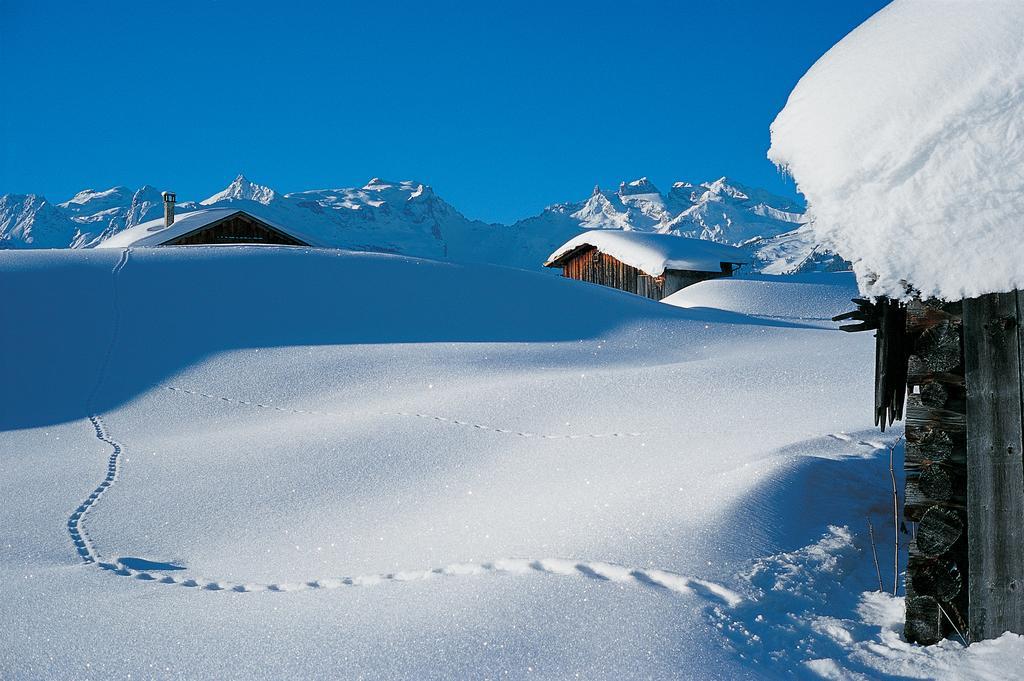 Chalet Zamang Schruns Eksteriør bilde